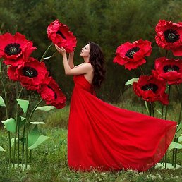 ������, ���������� �����, 27 ���