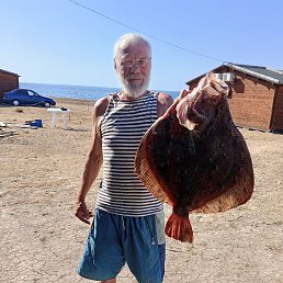 , 60 , 