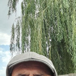 , 48 , 