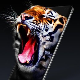 ���� ���������, ��������, 55 ��� - ��������� 10 ���� 2024