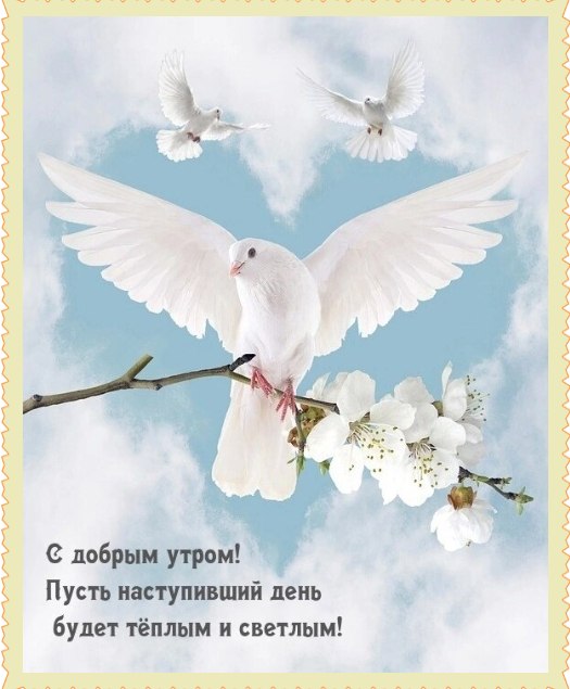�������� �� ����� ����. - 21 ������ 2026 � 06:21