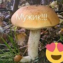���� ����, ������ - ��������� 29 �������� 2025 � ������ ������ ��������