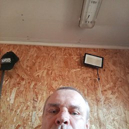, 61 , -