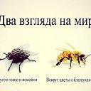  , --, 47  -  25  2025    