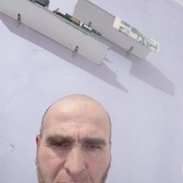 ����, 36 ���, ���������