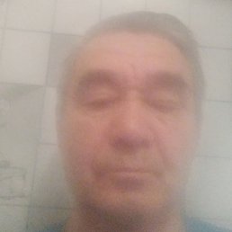 , , 81 