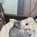 ���� �������, ������, 54 ���� - ��������� 17 ����� 2025 � ������ ���� ����������