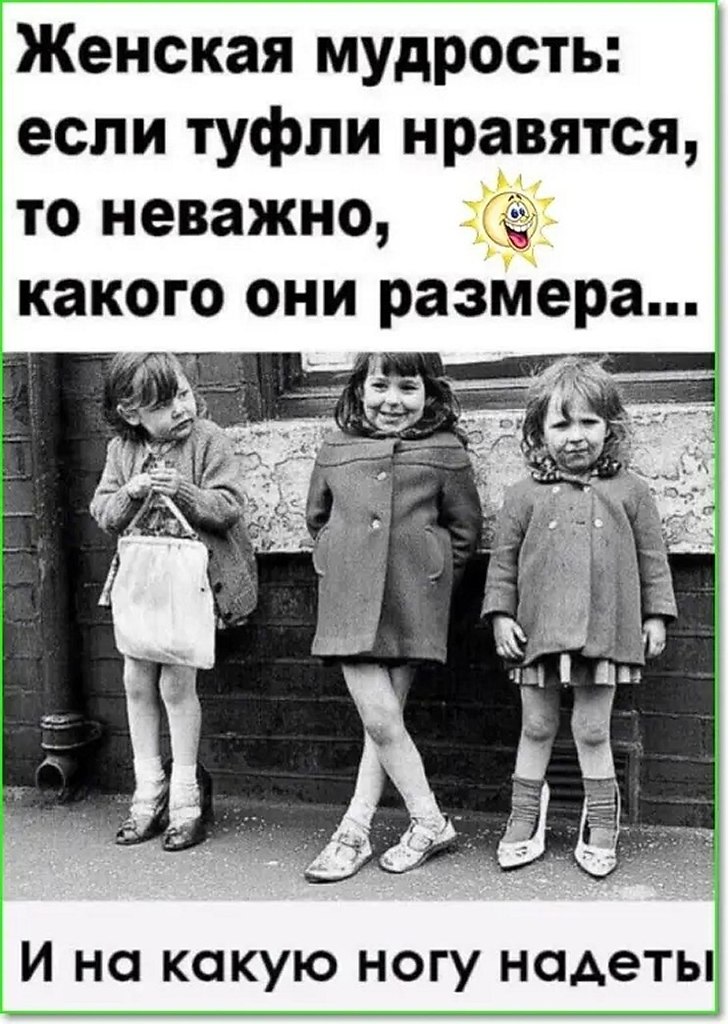 ☆ ☆ - 8  2025  08:34
