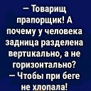 ���� ������, ���������, 57 ��� - ��������� 2 ������ 2024 � ������ ���� ����������