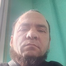 ������ �����������, ���������, 44 ����