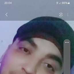 , 37, 