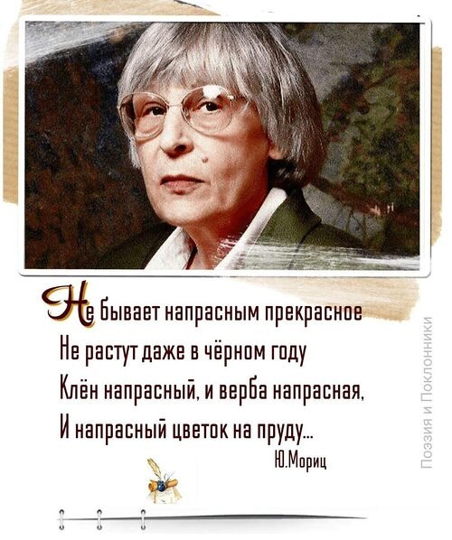 Не бывает напрасным прекрасное. Не растут даже в чёрном году Клён напрасный, и верба напрасная, И ...