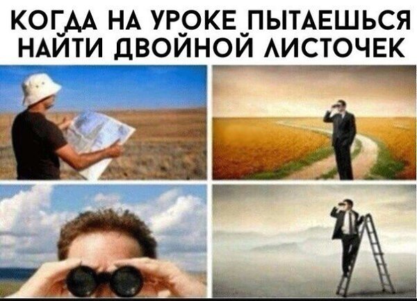 ☆   ☆ - 27  2024  14:33