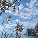 ���� Svetlana, ������, 65 ��� - ��������� 5 ������� 2025