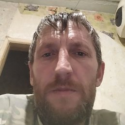 �������, ������������, 41 ���