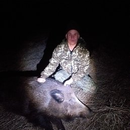 �����, 50 ���, �����