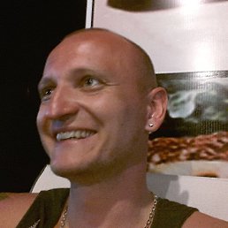 ����, 41 ���, ����������