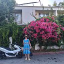 ���� ����, �����, 51 ��� - ��������� 1 ������� 2026 � ������ ���� ����������