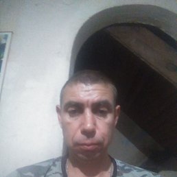 , 39, 
