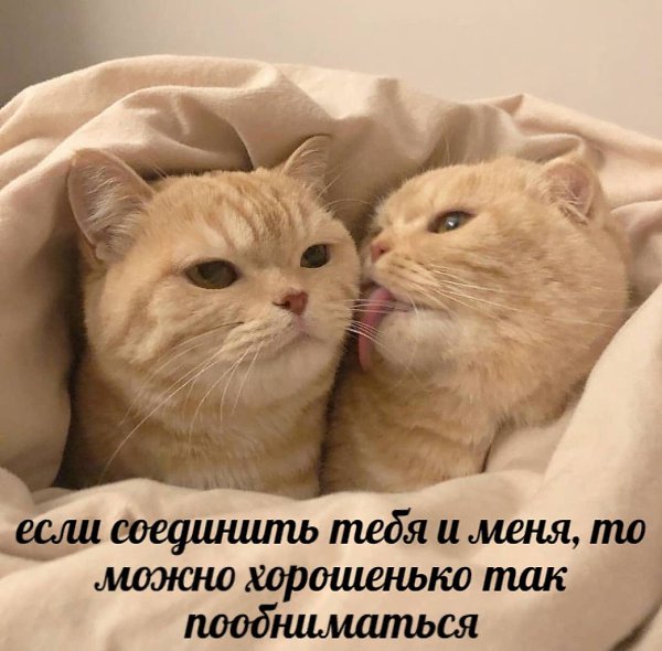    - 29  2024  02:13