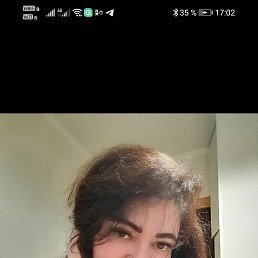���� ����, ����������, 45 ��� - ��������� 27 ������ 2026