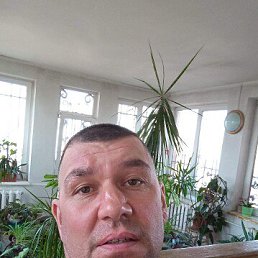 Rodik, 44, 