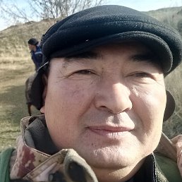 �����, ������, 49 ���