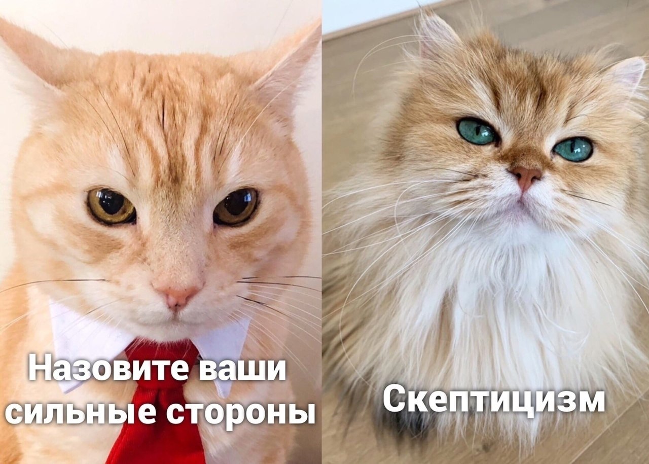 ��� �����