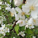 ���� �����, ���� - ��������� 9 ��� 2026 � ������ ������ ��������