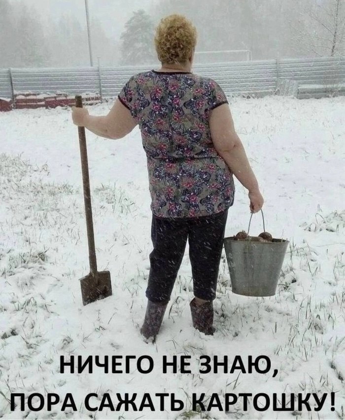   - 3  2025  14:19