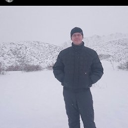 ������, ����-�����������, 40 ���