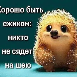 �����, ������, 51 ���