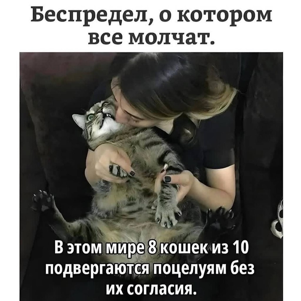 ,  !