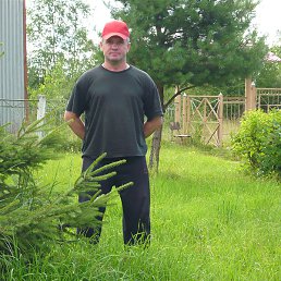 ����, ���������, 62 ����