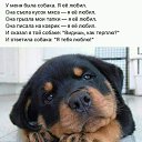 ���� Lucky Elite, ��������, 66 ��� - ��������� 5 ������ 2024 � ������ ������ ��������