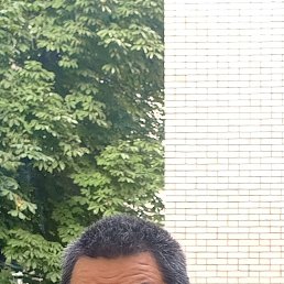 , 44 , 