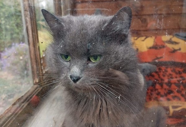 .  ,  ,  ,     .     ... - 5