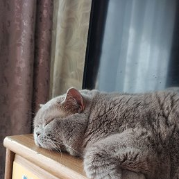 ���� ����, ������, 62 ���� - ��������� 5 ������ 2026