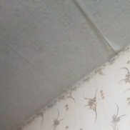 �������, 49 ���, �������