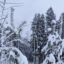 ���� �������, ����������, 20 ��� - ��������� 27 ������ 2026 � ������ ���� ����������