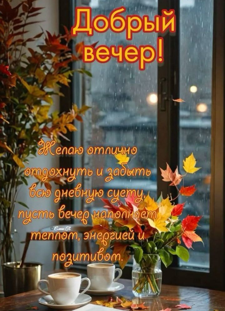   ,    . - 10  2025  20:19