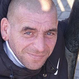 ����, �������, 41 ���