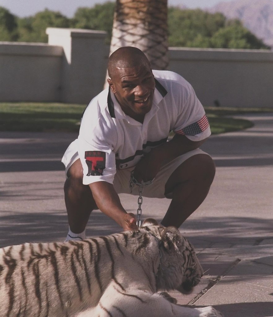              1996 . - 6