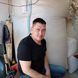 , 46 , 