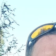 , 46 , 
