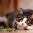 ���� �������, ��������, 76 ��� - ��������� 19 ������� 2024 � ������ ������ ��������