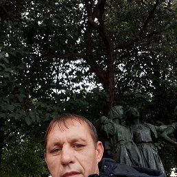 , 41, 
