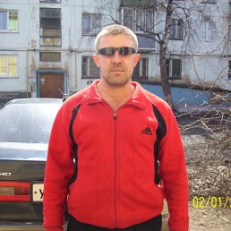 �������, 37 ���, �������