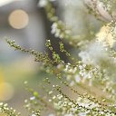 ���� ��������, ������������ - ��������� 25 ������ 2026 � ������ ������ ��������