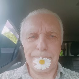 ������, 55 ���, �������